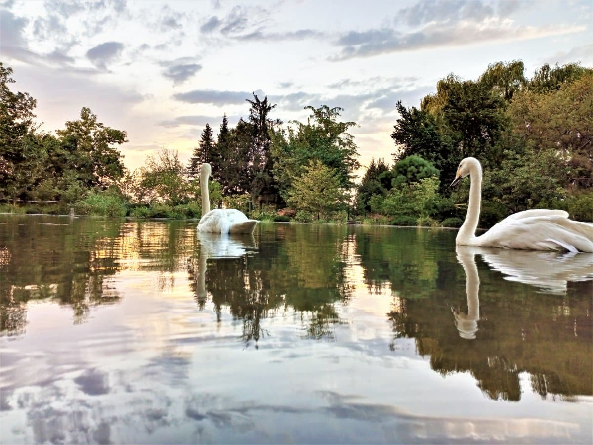 The main botanical garden of Almaty