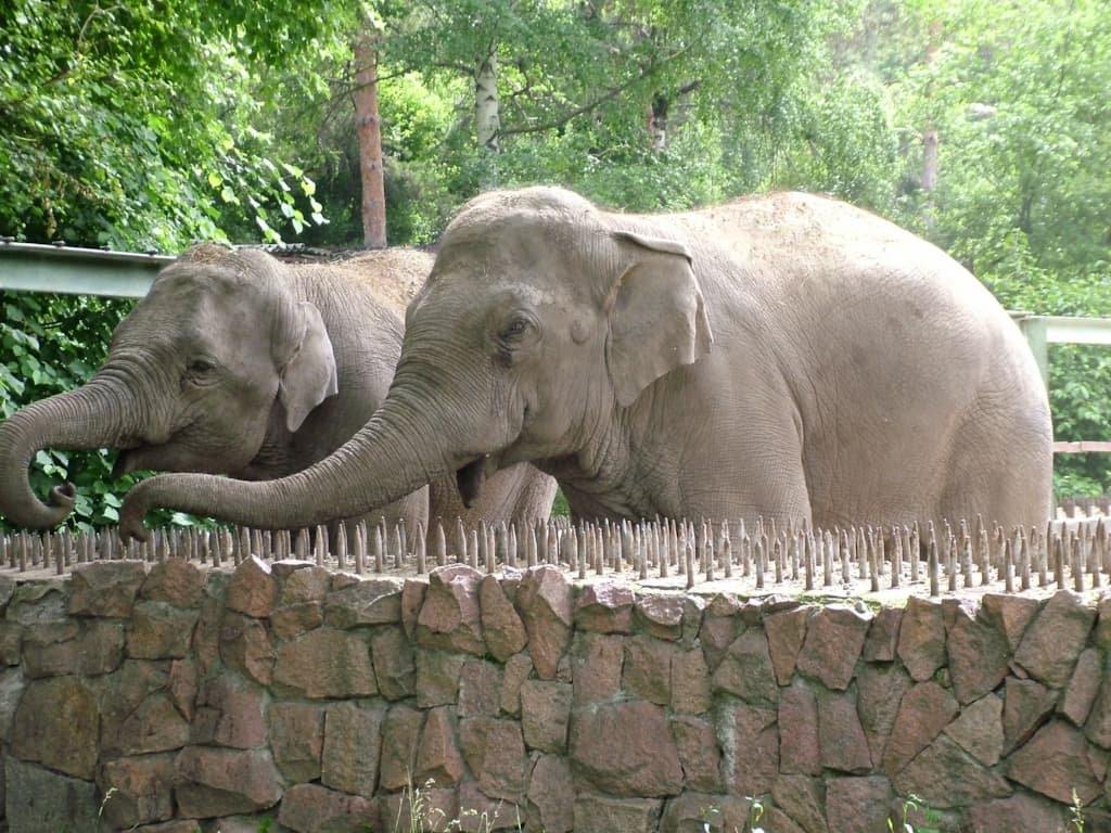 Almaty Zoo — photo 2