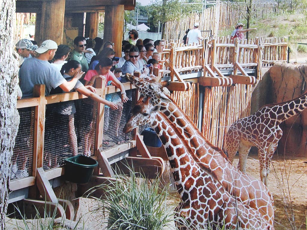 Almaty Zoo — photo 3